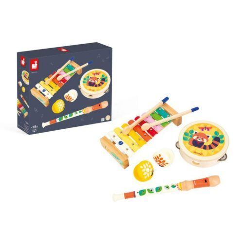 SET DE INSTRUMENTOS MUSICALES GIOIA