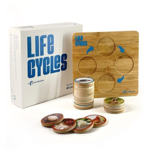 JUEGO CICLO DE LA VIDA